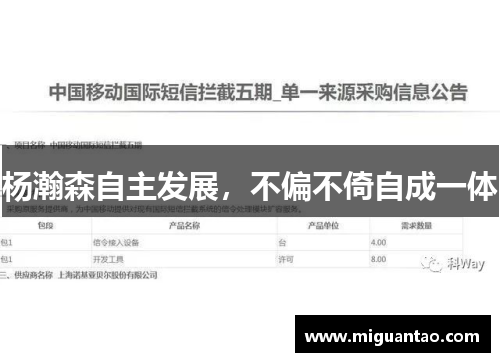杨瀚森自主发展，不偏不倚自成一体